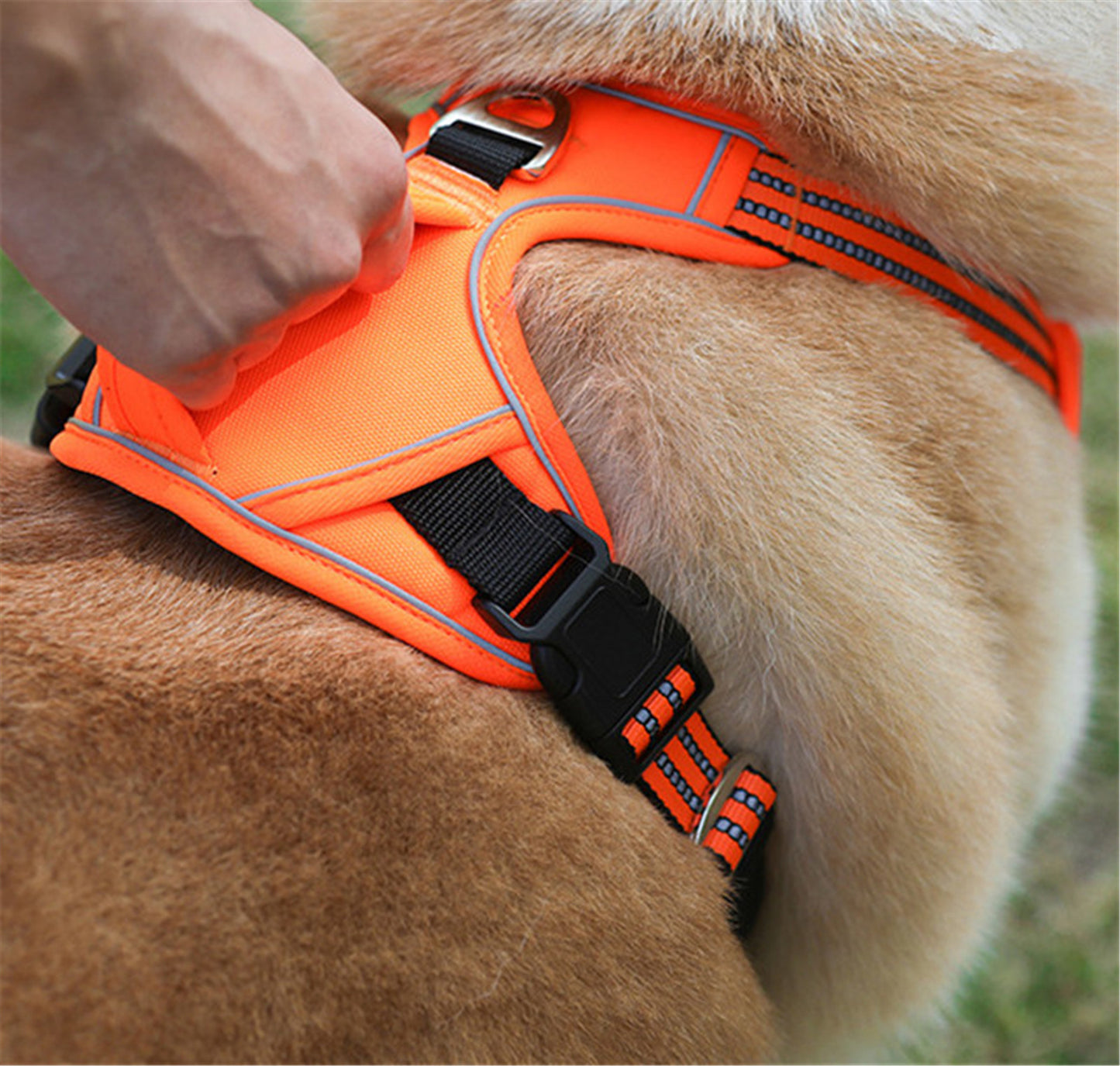 Waterproof Dog Harness With Reflective Straps & Handle